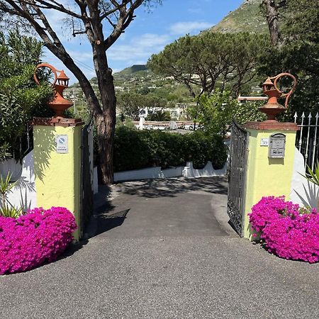 Hotel Park Calitto Forio di Ischia Eksteriør billede