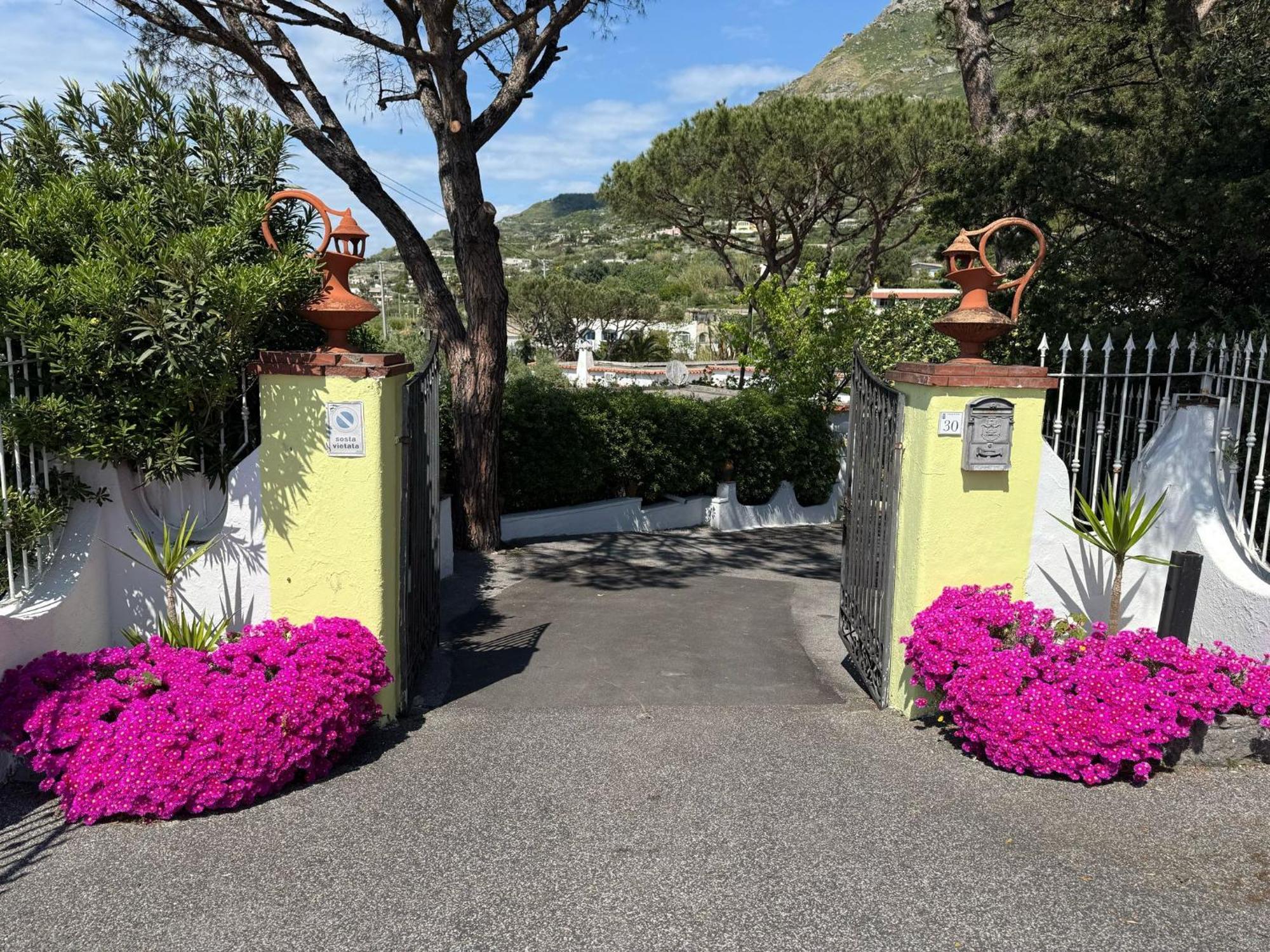 Hotel Park Calitto Forio di Ischia Eksteriør billede